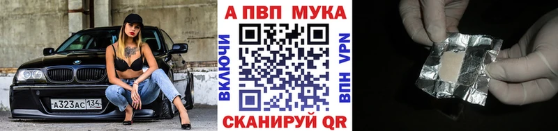 Купить где Спасск APVP крисы CK